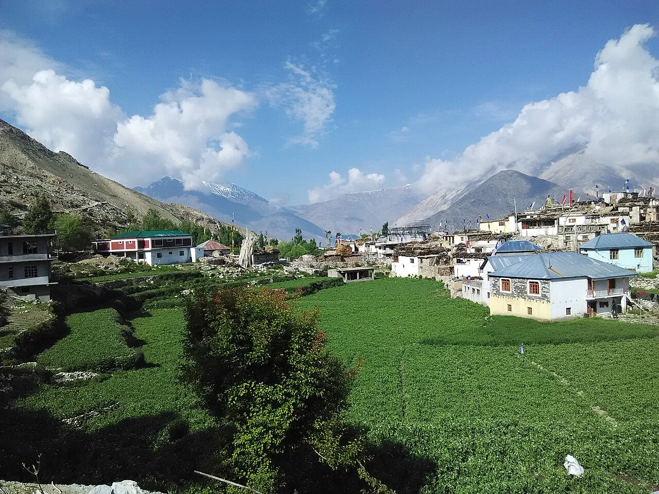 Nako, Himachal Pradesh — reference photograph; actual vehicle or property confirmed on enquiry